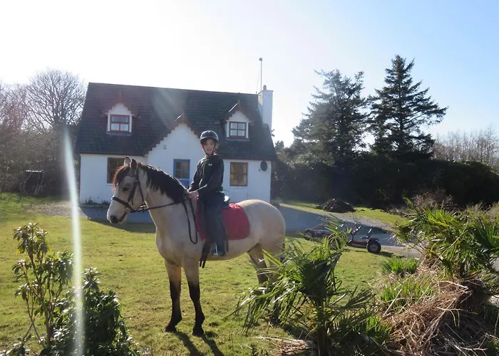 Letterfrack Farmhouse On Equestrian Farm In Letterfrack Beside Connemara National Park